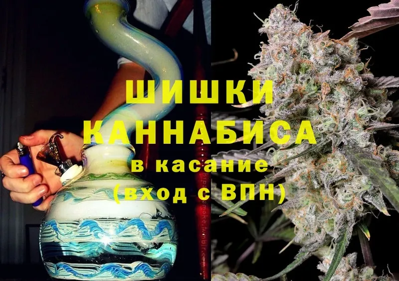 Бошки марихуана THC 21%  Североморск 